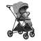 Прогулочная коляска Pituso carbon RX - horizont grey
