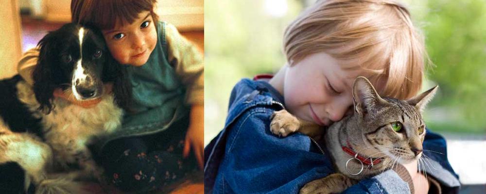 купить автокресло в минске