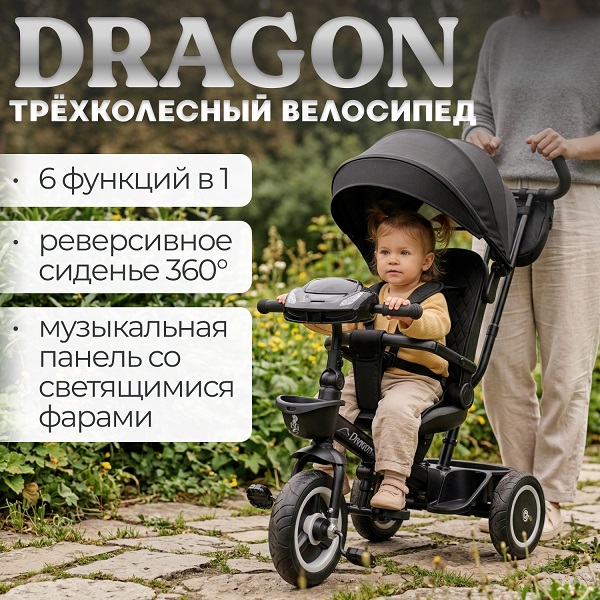 Велосипед детский  BubaGo Dragon - черный