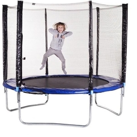 Батут Atlas Sport Basic 312 см с сеткой и лестницей - описание